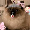 rubymeow09182