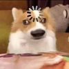 term.oaoa