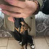 lola.grsmm