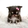 voiumartin_9