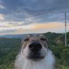hailedvolcano634