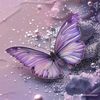 someone_328