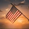 patriotinla