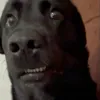 sabmancd
