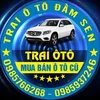 traiotodamsen
