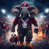 vincentsimpson29