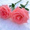 bahar_.1234