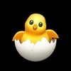chickypoo.21