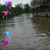 huungocpham74