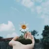 ngocloannguyen123