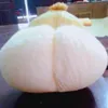 trasuamehoi
