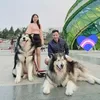 bentley_haianh102