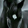 asshalabbas905