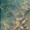 afrah_588