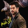 aliali.619