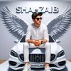 shahzaibbizanjo