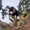 waleedmo270