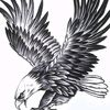 budakbg2