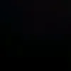 le_renard58