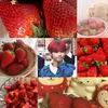 .hyohjih