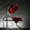 w8m18