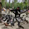 masmail93