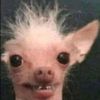 im_smarter_than_you_
