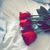 deama071