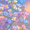 shindy29_