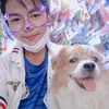 heorung355