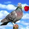 dy032bmecfe4