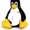 rudyip1