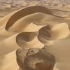 al.shamkh24