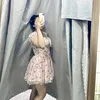 ebe_hayghen