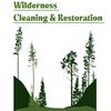 wildernesscleanin