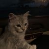 noora_496