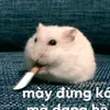 dy66eu8prysa