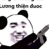 dinhquoc093