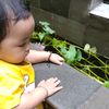 babynaisa_