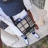 doggy_brown21