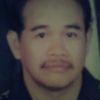 kapok0061