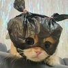 hallo.kalian