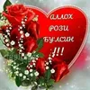 mitiska_lola1999