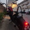 rp_syl81