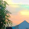 seenecaaa