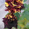 mustafa_mzuri99