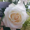ingeborg2806