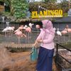 krisdeny384