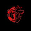 unitedemirates_