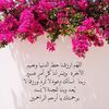 anwar_2661